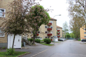 Lägenhet 2 rok på Hagtornsgatan 7