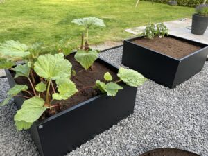 Lägenhet 3 rok på Beckhemsvägen 27