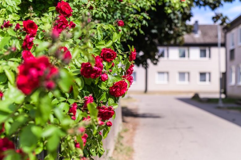 Lägenhet 3 rok på Väpnaregatan 8