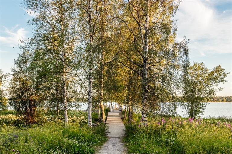 Lägenhet 2 rok på Tunastigen 19