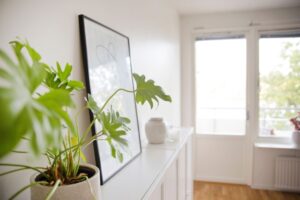 Lägenhet 3 rok på Timmermansgatan 6