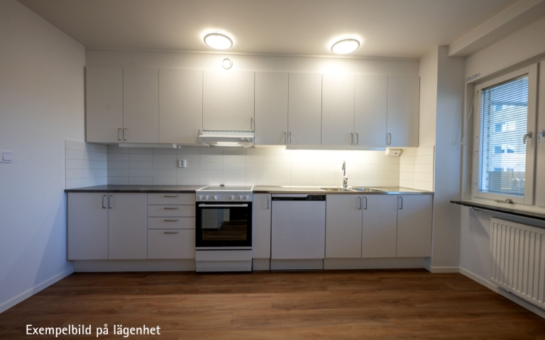 Lägenhet 2 rok på Nedre Borgmästaregatan 7