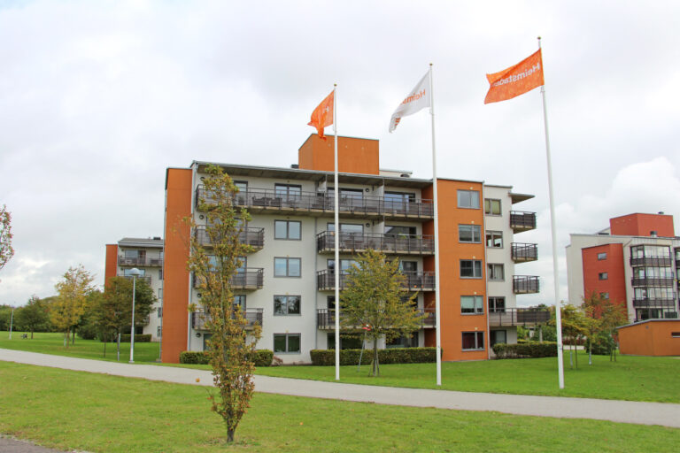 Lägenhet 2 rok på Neversvägen 45