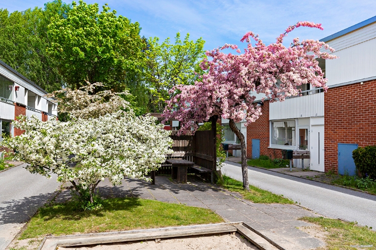 Lägenhet 5 rok på Björkrisvägen 14S