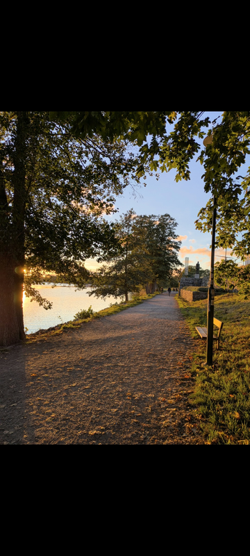 brantingsgatan39-08.jpg