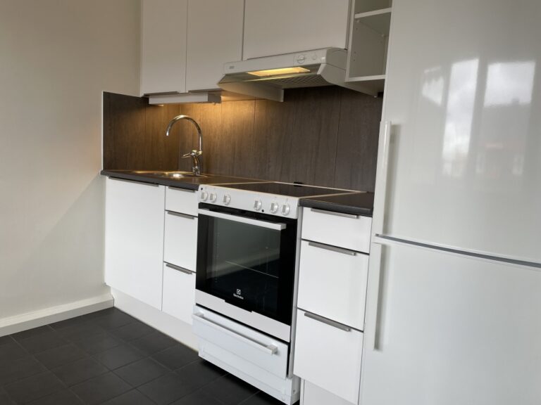 Lägenhet 1 rok på Hantverkaregatan 17