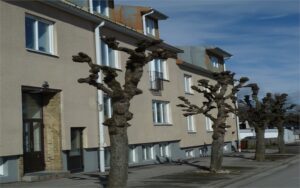 Lägenhet 2 rok på Bergsgatan 6