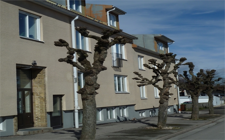 Lägenhet 2 rok på Bergsgatan 6