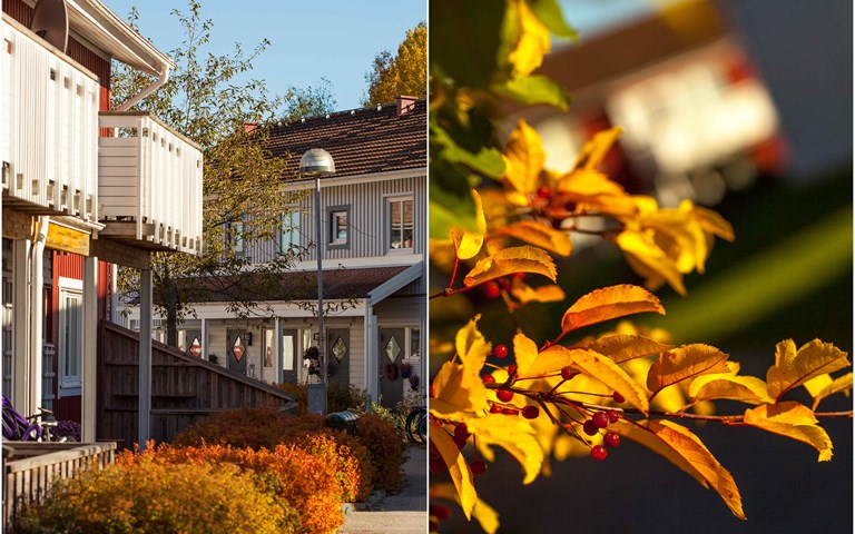 Lägenhet 2 rok på LOFTVÄGEN 99