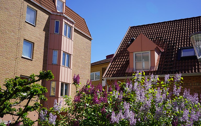 Lägenhet 2 rok på Vallgatan 2 A
