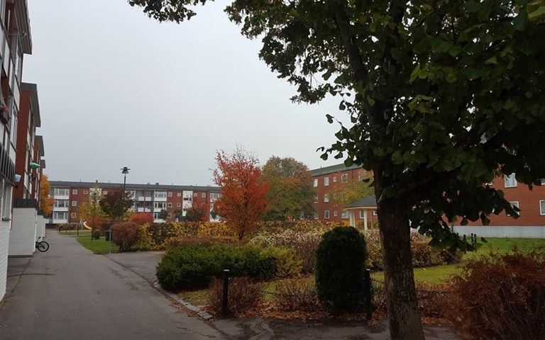 Lägenhet 3 rok på Ringvägen 53