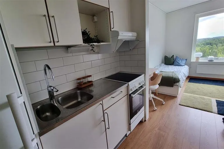 Hyresrätt med 1 rum på Framtidsvägen 7C i Växjö, bild 4 av 5