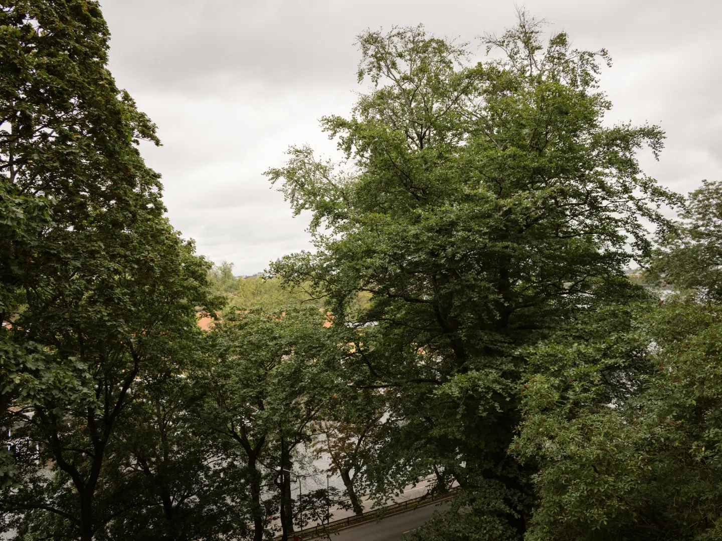 Bostadsrätt med 1 rum på Heleneborgsgatan 36B i Stockholm, bild 2 av 5