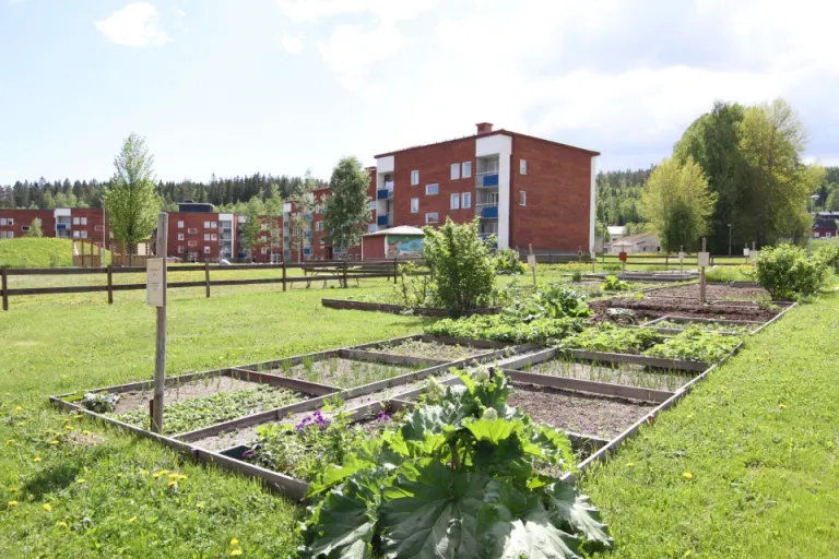 Hyresrätt med 3 rum på Midälvavägen 10 i Sundsvall, bild 2 av 5