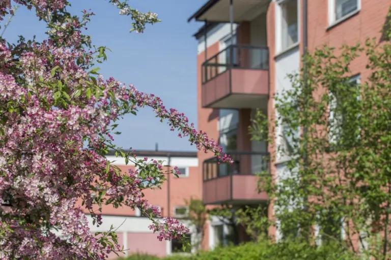 Hyresrätt med 3 rum på Levertinsgatan 19 i Uppsala, bild 2 av 5