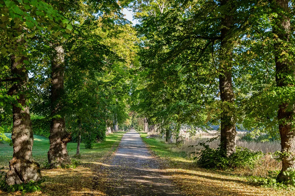 Bostadsrätt med 3 rum på Lennartsnäs Slott 1 i Upplands-Bro, bild 2 av 5