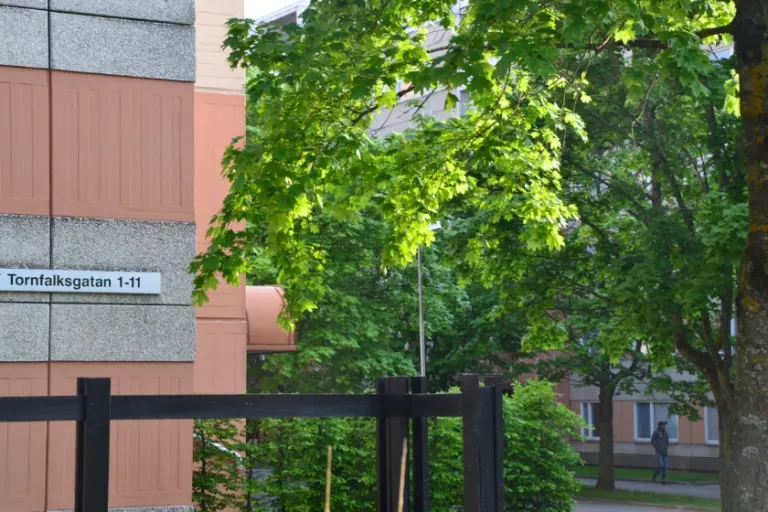 Hyresrätt med 2 rum på Tornfalksgatan 7 i Jönköping, bild 3 av 3