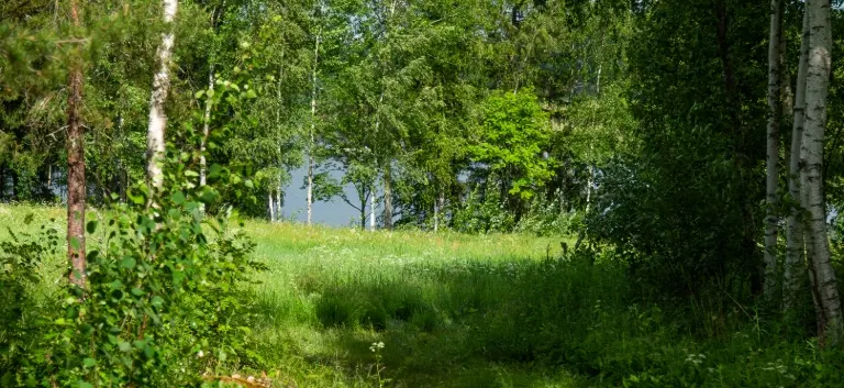 Hyresrätt med 2 rum på Torggatan 8 i Hudiksvall, bild 3 av 5