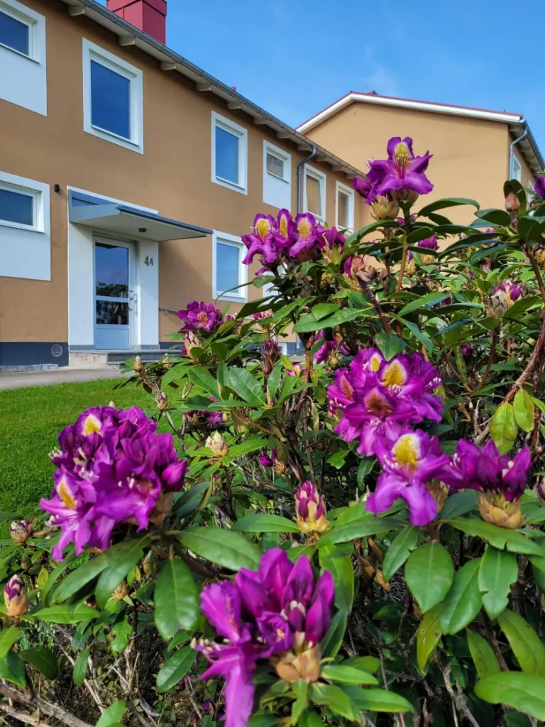 Hyresrätt med 1 rum på Bjärehemsvägen 4A i Båstad, bild 3 av 4