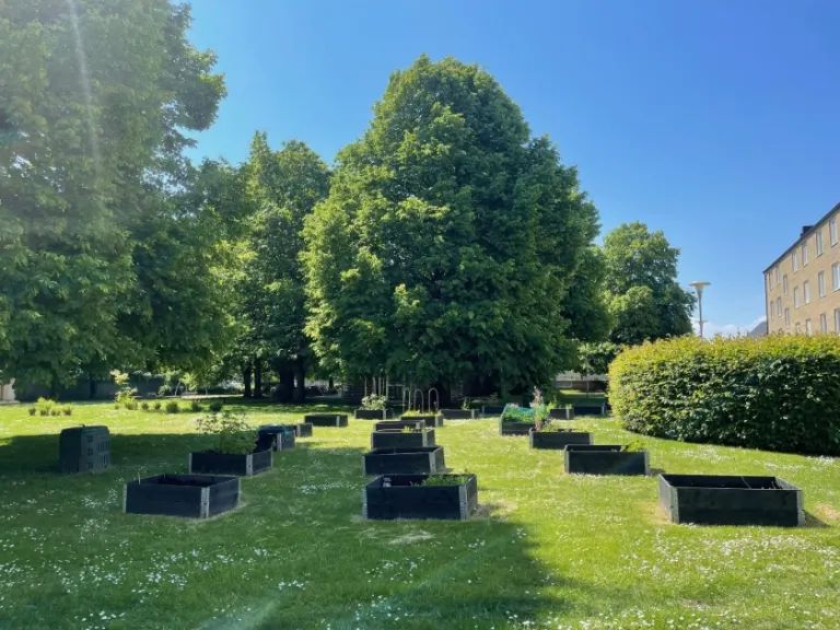 Hyresrätt med 2 rum på Luzernvägen 1B i Lund, bild 5 av 5