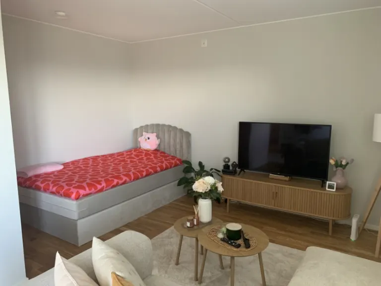 Hyresrätt med 1 rum på Ringstorpsvägen 26 i Helsingborg, bild 4 av 5