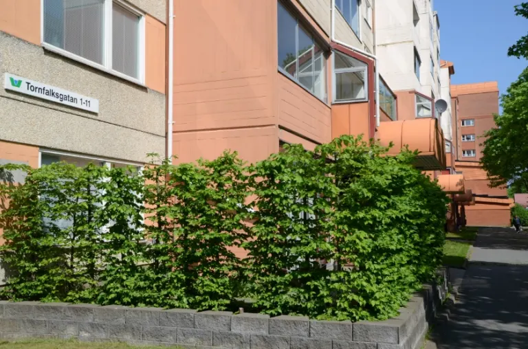 Hyresrätt med 2 rum på Tornfalksgatan 7 i Jönköping, bild 2 av 3