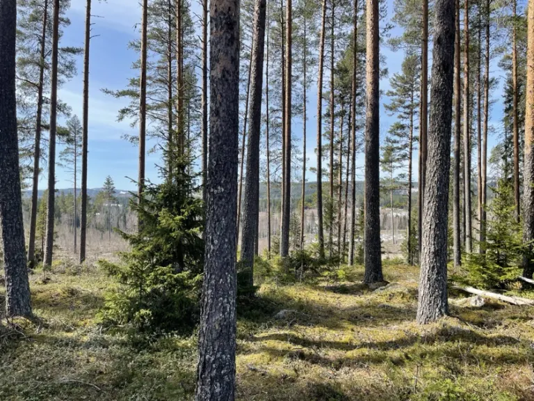 Hyresrätt med 3 rum på Tväråbäck 55A i Vännäs, bild 2 av 2