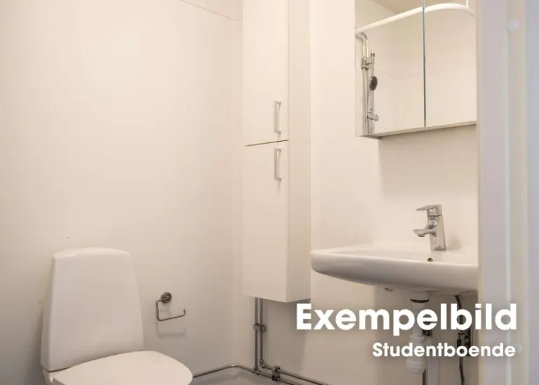 Hyresrätt med 1 rum på Furutorpsgatan 49B i Helsingborg, bild 2 av 5