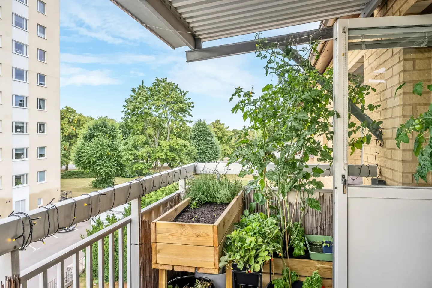 Bostadsrätt med 2 rum på Bergslagsgatan 57 i Norrköping, bild 3 av 4