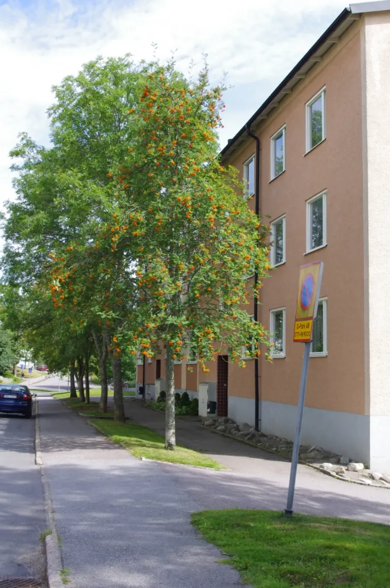 Hyresrätt med 3 rum på De Wijks väg 13B i Finspång