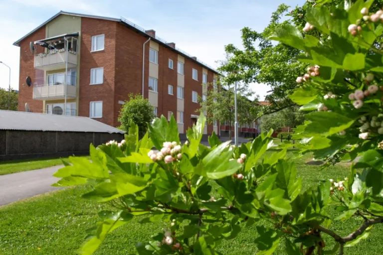 Hyresrätt med 3 rum på Läroverksgatan 38D i Bollnäs, bild 3 av 4