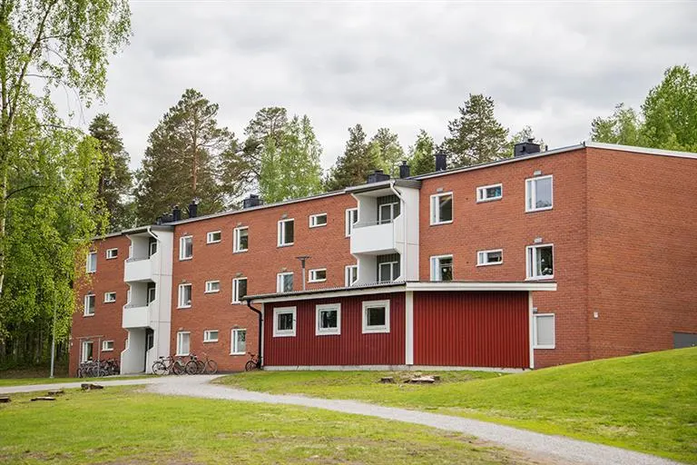 Hyresrätt med 1 rum på Ankarskatavägen 77 A i Piteå, bild 3 av 5