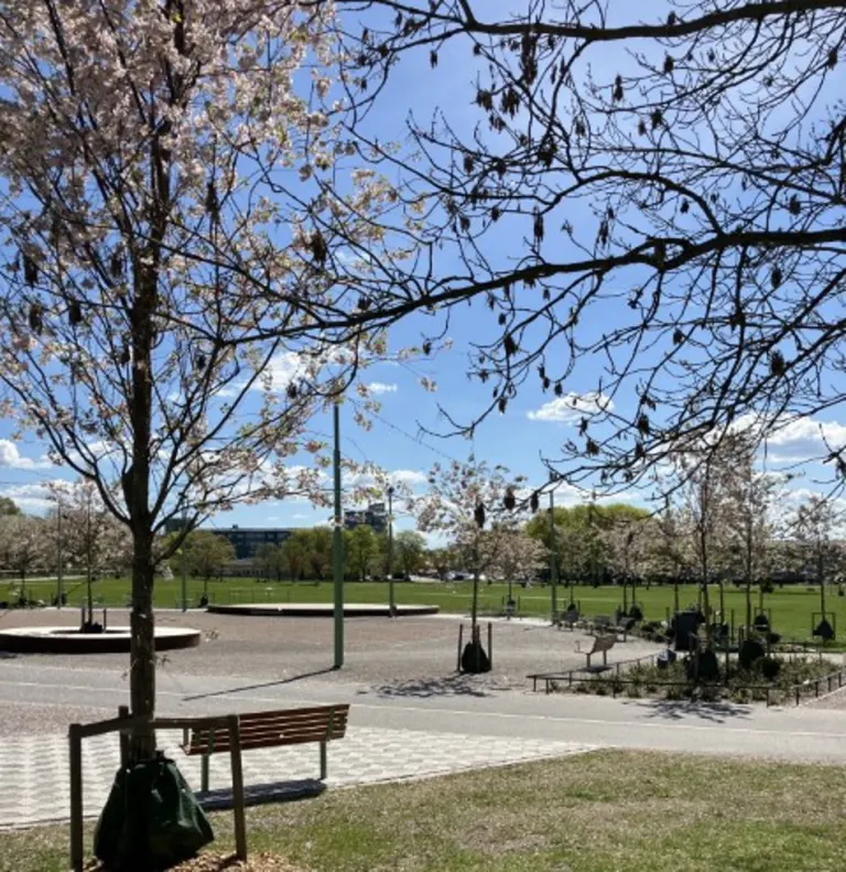Hyresrätt med 3 rum på Levertinsgatan 19 i Uppsala, bild 4 av 5