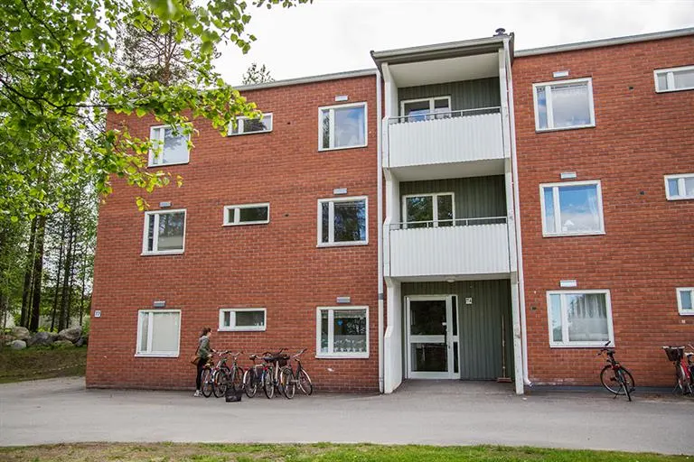 Hyresrätt med 1 rum på Ankarskatavägen 77 A i Piteå