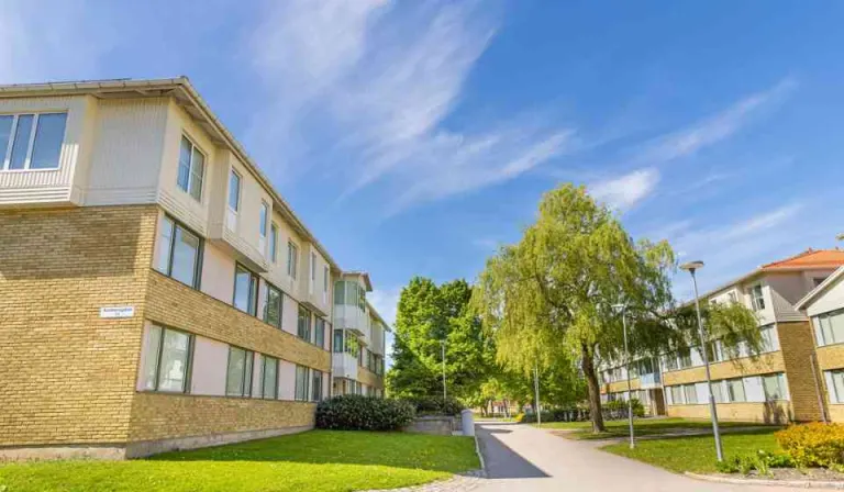 Hyresrätt med 1 rum på Alsättersgatan 13A i Linköping