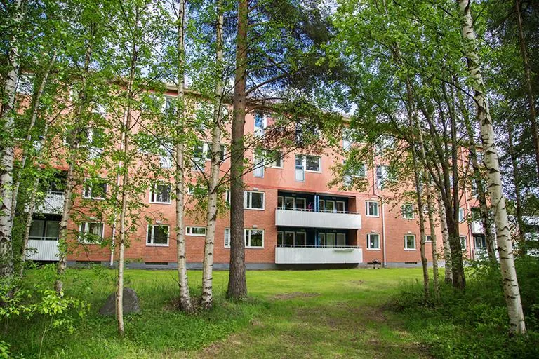 Hyresrätt med 1 rum på Ankarskatavägen 81 B i Piteå, bild 4 av 5