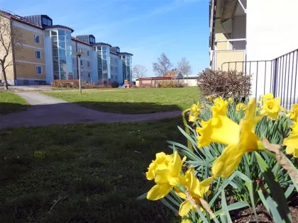 Hyresrätt med 1 rum på Älgerumsvägen 22 C i Mönsterås, bild 2 av 2