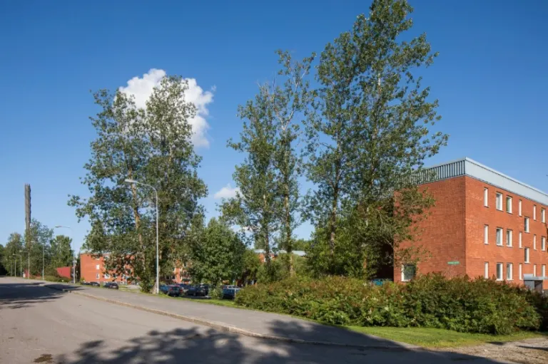 Hyresrätt med 3 rum på Hammarvägen 47 i Sundsvall