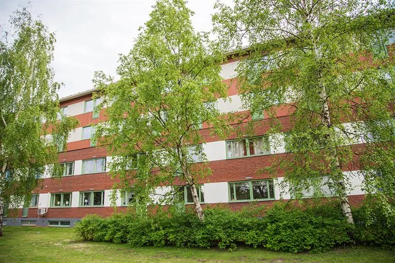 Hyresrätt med 1 rum på Ankarskatavägen 89 B i Piteå, bild 3 av 4