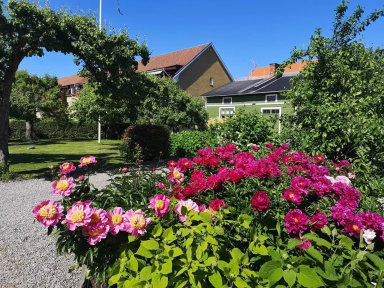 Bostadsrätt med 1 rum på Västra tullgatan 14 i Nyköping, bild 2 av 4