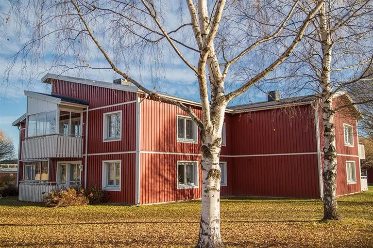 Hyresrätt med 2 rum på Helmers Väg 4 i Piteå, bild 4 av 5
