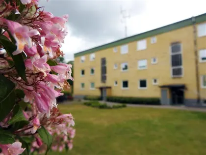 Hyresrätt med 1 rum på Kaptensvägen 21 A i Mönsterås, bild 3 av 3