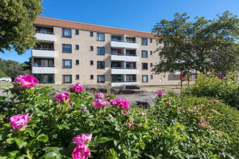 Hyresrätt med 3 rum på Vilbergsgatan 123 i Norrköping, bild 5 av 5