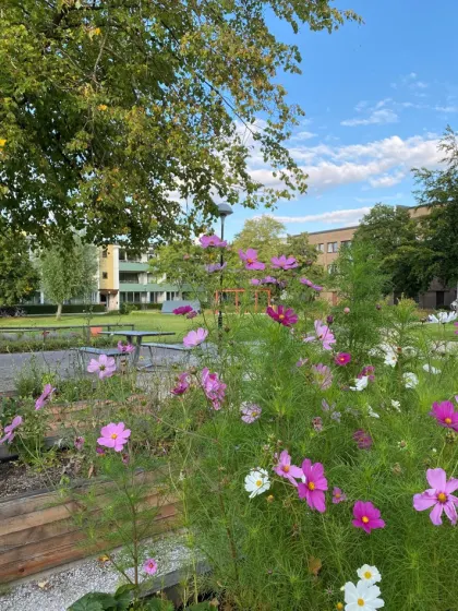 Hyresrätt med 2 rum på Hålsjögatan 37 i Malmö, bild 2 av 3