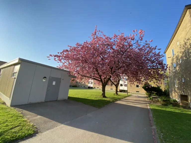 Hyresrätt med 2 rum på Pilgården 6B i Landskrona, bild 2 av 3