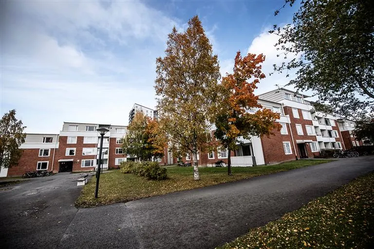 Hyresrätt med 2 rum på Fagerbacken 24B i Östersund, bild 3 av 5