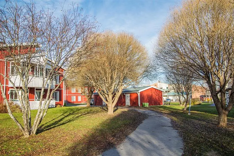 Hyresrätt med 2 rum på Helmers Väg 4 i Piteå, bild 5 av 5