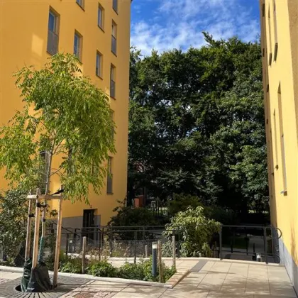 Hyresrätt med 2 rum på Tekla Thomassons Gata 20 A i Malmö, bild 4 av 5