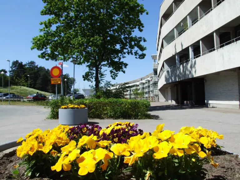 Hyresrätt med 2 rum på Ortvägen 19 i Nyköping, bild 2 av 5
