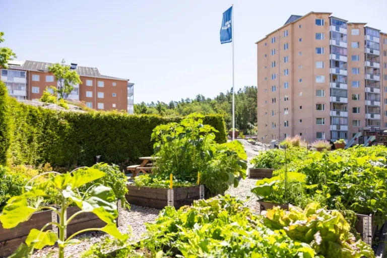 Hyresrätt med 3 rum på Hagarnevägen 45 i Uddevalla